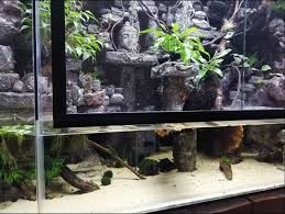Ge Sluis Paludarium Met Epoxy
