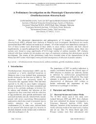 (showing both new and old job ads for reference). Pdf A Preliminary Investigation On The Phenotypic Characteristics Of Ornithobacterium Rhinotracheale