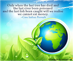 Yesterday every creature in the world has seen it but to their dying day they'll never see the same one again. Only When The Last Tree Has Died Arbor Day Cards