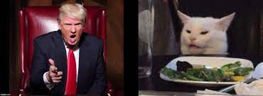 Angry Trump Cat Imgflip