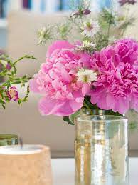 Check spelling or type a new query. Miss Daisy Fresh Dutch Flowers