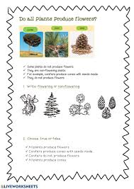 What are the four major lineages of plants? Flowering Non Flowering Worksheet