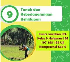 Uji kompetensi 6 halaman 200. Kunci Jawaban Ipa Kelas 9 Halaman 196 197 198 199 Uji Kompetensi Bab 9 Tanah Dan Keberlangsungan Kehidupan Wali Kelas Sd