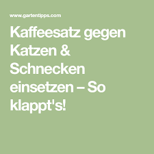 Kaffeesatz Gegen Katzen Schnecken Einsetzen So Klappt S Kaffeesatz Schnecken Schadlingsbekampfung