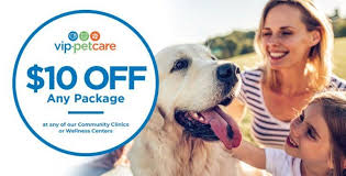 Pin On Pet Care