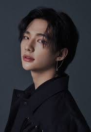 Nahtloses vektormuster mit hühnern und felsen auf grauem hintergrund. Stray Kids Hyunjin Profile Pictures Felix Stray Kids Stray Kids