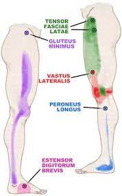 Pin On Organic And Healthy Living