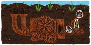 Soil is dirt, and dirt is soil, in the minds of most people. Opinion Let S Stop Treating Our Soil Like Dirt Ensia