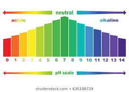 Ph Scale Images Stock Photos Vectors Shutterstock