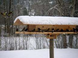 Bird Feeder For Large Birds Big Wooden Bird Feeders Bird Cages Wood Bird Feeder Large Bird Feeders Large Bird Houses
