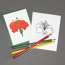 This very basic design of a flower has thick like a flower garden of coloring pages, we've provided you with 10 sheets to color with. Chinese Mandarin Parts Of The Flower Complete Nomenclature Set Cathie Perolman Educational Materials