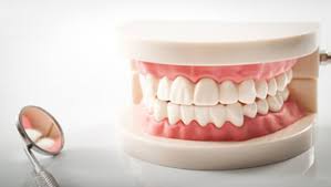 Check spelling or type a new query. Zirconium Sebagai Material Dental Gigi Tiruan Komunitas Muda Nuklir Nasional