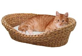 Silvio Design Katzenkorb Wasserhyazinthe Kaufen Katzenkorb Katzen Wohnungen Katzen Bett