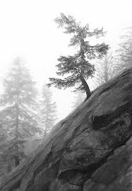 Free for commercial use no attribution required high quality images. Photo Realistic Landscape Drawings In Graphite By Doug Fluckiger