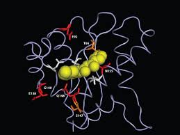 Image result for Integrase Strand Transfer Inhibitor