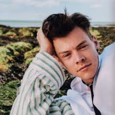 harry styles' packs. (credits to: @couragescout)