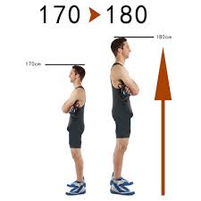 While every effort is made to ensure the accuracy of the information provided on this website, neither this website nor its authors are responsible for any errors or omissions, or for the results obtained from the use of this information. 170cm In Feet Height