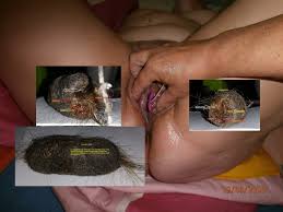 Pictures Showing For Insect Pussy Insertion - Mypornarchive.net Features Hardcore Fetish Videos