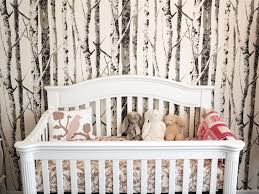 Outdoor and woodland themed nurseries have become very popular in recent years. How To Create A Woodland Nursery