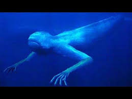 ><br>fedortsov lives in the large port city of murmansk. Real Scary Ocean Animals