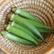 夏のネバネバ野菜たち 坂ノ途中