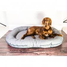 Maybe you would like to learn more about one of these? Dog Bed Solution