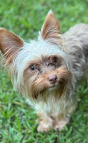 I found Ruby and Weiss