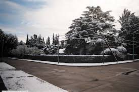 Maybe you would like to learn more about one of these? Burza Riloche 9 07 07 Postales Nevadas De Burzaco Aunque Ud No Lo Crea