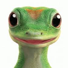 We did not find results for: Geico Lizard Thatsyoproblem Twitter
