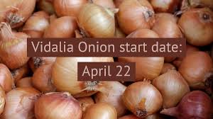See full list on wikihow.com Expect Higher Prices For A Smaller Vidalia Onion Crop Produce Blue Book