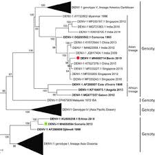 Nurumassage india summer rewards the teen neighbor with a dirty body massage for his help 13 min. Toscane Fourie S Research Works Armed Forces Biomedical Research Institute France Bretigny Sur Orge Irba And Other Places