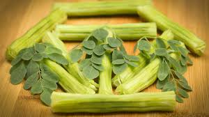 Image result for Moringaceae