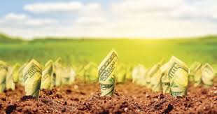 Controalele pe teren pentru cererile apia 2019. Cine Primeste Cele Mai Mari SubvenÅ£ii Din AgriculturÄ Arabii Pe Primul Loc