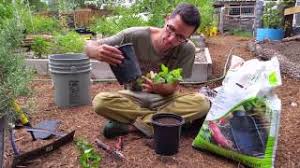 We did not find results for: Starting Fruit Trees With Cuttings My Garden Experiment Youtube