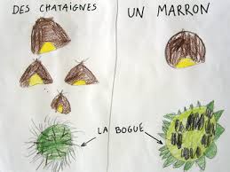 La Difference Entre La Chataigne Et Le Marron Chataigne La Difference Entre Difference