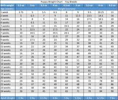 Airedale Puppy Weight Chart Goldenacresdogs Com