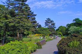 Botanischer garten bremen, бремен, бремен, германия — местоположение на карте, отзывы. Botanischer Garten Stiftung Bremer Rhododendronpark