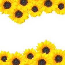 Free Free 240 Printable Simple Sunflower Clipart SVG PNG EPS DXF File