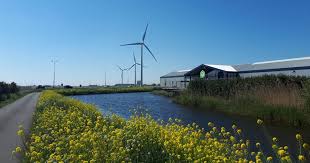 beeldbank het groene hart van holland het groene hart