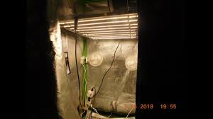 Good luck with your grow and any questions don't be afraid to ask the members here are friendly and helpful. Samsung Led Strip Light For My 3x3 Grow Tent Youtube