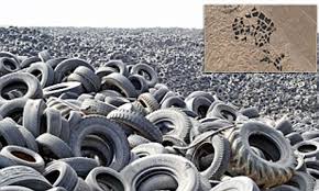 World S Biggest Tyre Graveyard Incredible Images Of Kuwaiti Landfill Site So Huge It Can Be Seen From Space Daily Mail Online