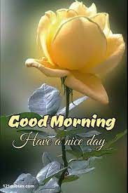 Use them in commercial designs under lifetime, perpetual & worldwide rights. 200 Beautiful Good Morning Images Latest Update