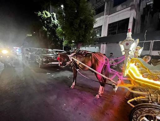 💔 Another heartbreaking incident in Kolkata — a horse collapsed while pulling a carriage in the scorching heat. These gentle beings are not meant to suffer for our entertainment. 🐴 World Animal