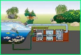 Maybe you would like to learn more about one of these? Kolam Ikan Koi Tetap Sehat Dengan Peralatan Memadai Di 2020 Kolam Ikan Aquaponics Kolam