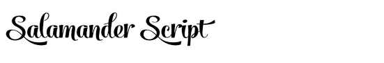 Salamander is a playful and agile script family of two weights and matching ornament sets. Salamander Script Free Font