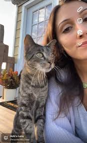 Hopefully the last time I have to post about him because if he comes home,  I'm vowing to making Beans an indoor cat from here