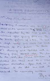 How to write a book report. Write A Report On Accident