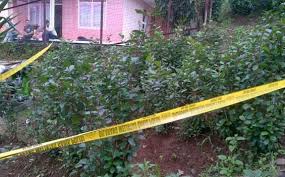 Maybe you would like to learn more about one of these? Berbahaya Dari Sabu Dan Ekstasi Bea Dan Cukai Sita 16 Kilo Daun Khat Impor Dari Ethiopia Suara Desa