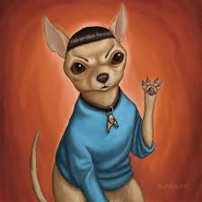 Chihuahua Spock 8x8 Art Print Chihuahua Dog As Spock From Etsy Chihuahua Chihuahua Art Chihuahua Love