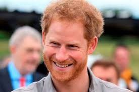 Prince Harry gives up dairy (but not alcohol) for his intense new fitness  regime